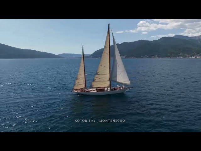 Néoréalité X L'Odyssée