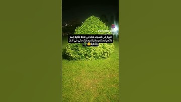 الاذكار اما بتتفهم وتتقال باحساس ويقين بتكون امان وحصن وملاذ لنا والله😍🎁🤗#explore#quran #قرآن#اذكار