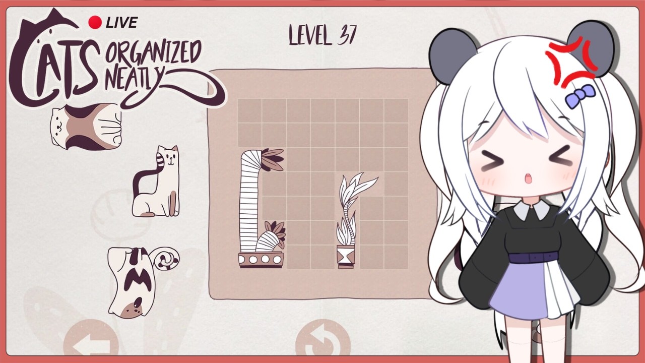 『 Cats Organized Neatly 』⁺₊✧ Meow~ ⁺₊✧ I hated that... ~ 2/18/2026