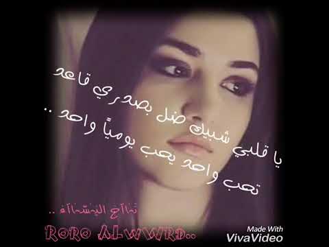 ياقلبي شيبك