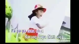 VIRAL ! LAGU ANAK BURUNG PAPA . AWAS JANGAN SALAH TAFSIR WKWKWK .