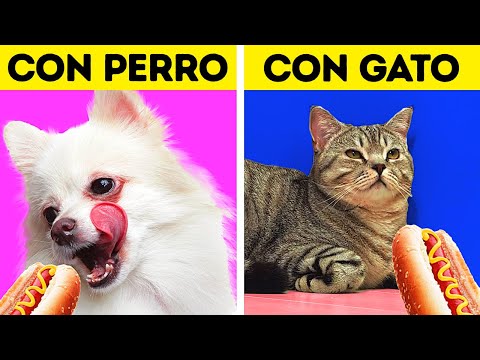 VIVIR CON UN PERRO VS. VIVIR CON UN GATO || 27 INCREÍBLES TRUCOS