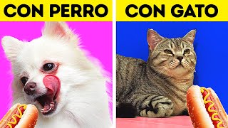 VIVIR CON UN PERRO VS. VIVIR CON UN GATO || 27 INCREÍBLES TRUCOS