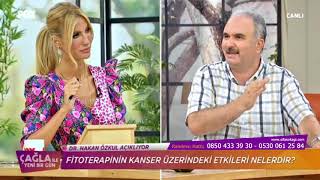 Kanser Tedavisinde Yeni Umut Fitoterapi