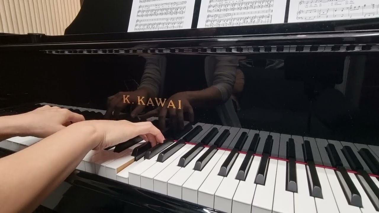 한예종 입시곡 저성용 반주 E flat Geheimes Schubert karaoke low