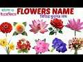 Flower Name With Facts For Kids| বিভিন্ন ফুলের নাম | Flower Name English To Bengali | 20 Flower Name
