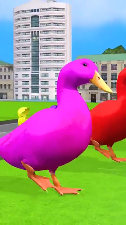 5 Giant Duck Cartoon,Cow,Elephant,Tiger,Lion,Dinosaur,Paint Wild Animals Crossing Fountain Animation