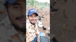 murgi ke sath long drive @Azmath #murgi #chicken #animals #pets