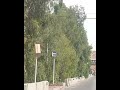 سيدة تطالب بإزالة كرتونة تغطي كاميرا مراقبة#الاردن #عمون