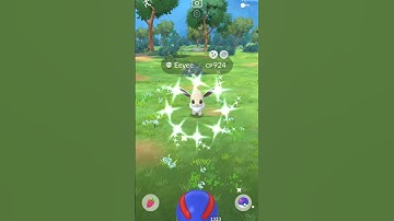 Catch Shiny Eevee in Pokemon Go #pokemongo #shiny #pokemon