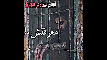 حالات واتس اسلام كابونجا 2025 قصتى تقرها فى عنيا 