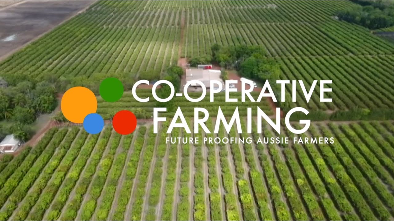 Farm Cooperative