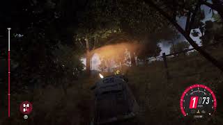 Dirt Rally 2 - Lost tire. Impossible to recover.
