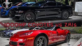 (The Ultimate Mustang vs Corvette Vid) 1,000HP+ Twin Turbo Coyotes take on Texas fastest ZR1s