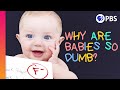 Understanding Human and Animal Development
