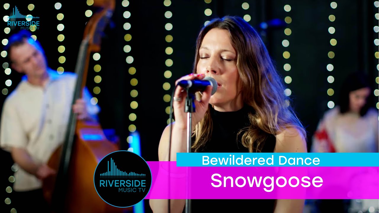 Watch Snowgoose - Bewildered Dance (Live on Riverside Music TV) on YouTube Watch Snowgoose - Bewildered Dance (Live on Riverside Music TV) on YouTube