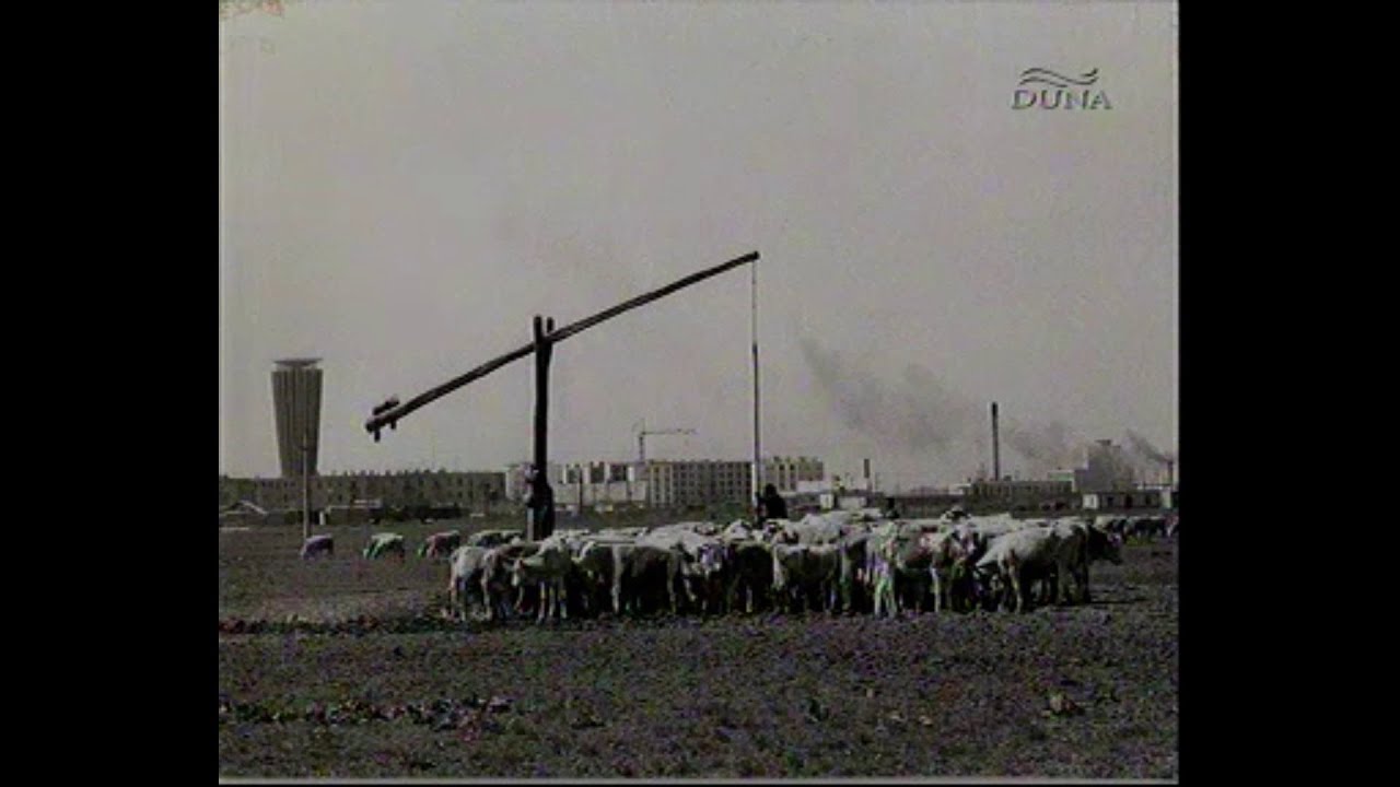 Virágzó Magyarország - Tiszaújváros 2009