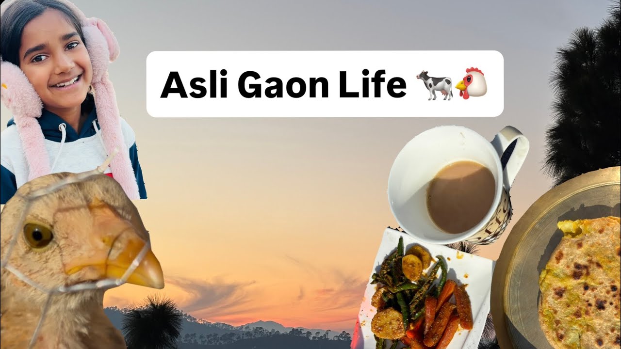 Simple Village Life 🐄 | Gaay Ka Doodh & Murgi | 