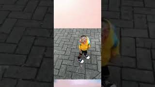 Download Lagu monkey school MP3