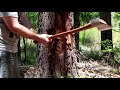DANGEROUS Tree Felling the MAN TIME Way