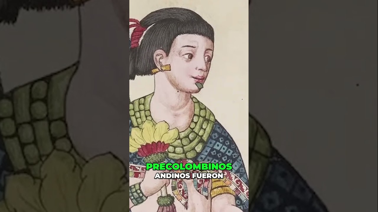 La Riqueza de los Textiles Precolombinos Andinos: Una Tradición Llamativa y Rica