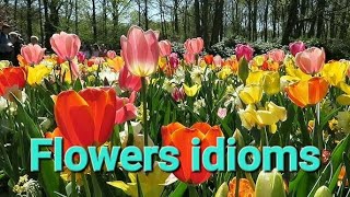 flowers idioms
