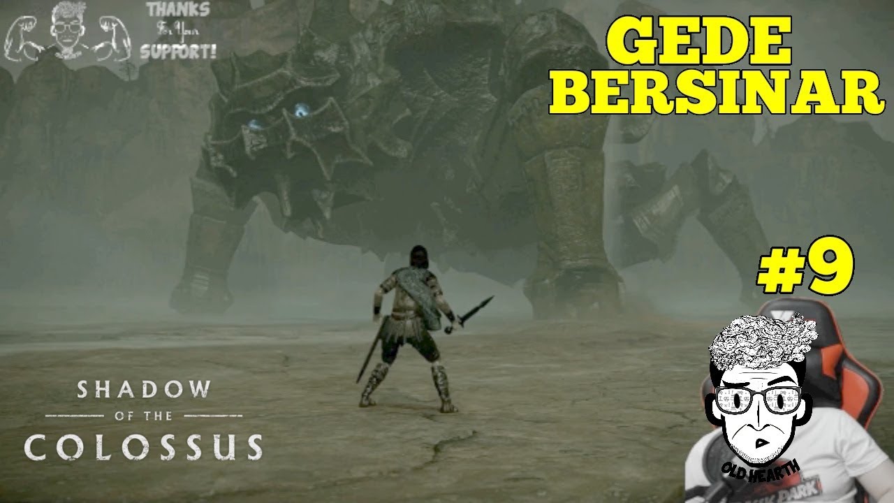 VS COLOSSUS NUMBER 9 - Shadow of the Colossus (PS4) - YouTube
