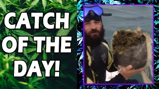 WEED MEMES & Fail Compilation [#158] - Fatally Stoned