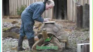 STRANGE NATURAL PHOTOS ΠΑΡΑΞΕΝΕΣ ΦΥΣΙΚΕΣ ΦΩΤΟΓΡΑΦΙΕΣ