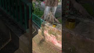 Diy Janamasthami Jhula Golden Colour Spray Paint