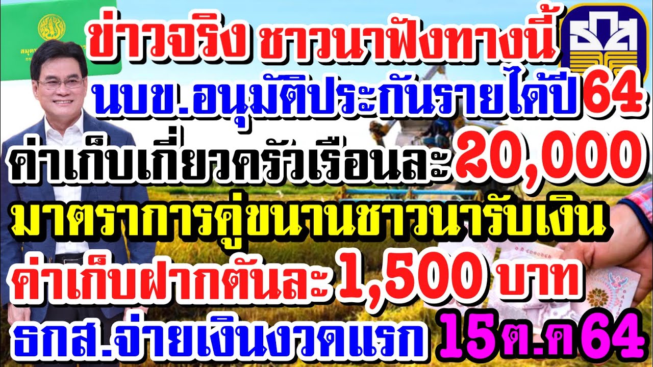 ข่าวดี!นายกอนุมัติแล้วเงินชาวนาค่าเก็บเกี่ยวไร่ละ1,000ประกันรายได้ปี64/65 ธกส.โอนเงิน15ต.ค64#24/8/64