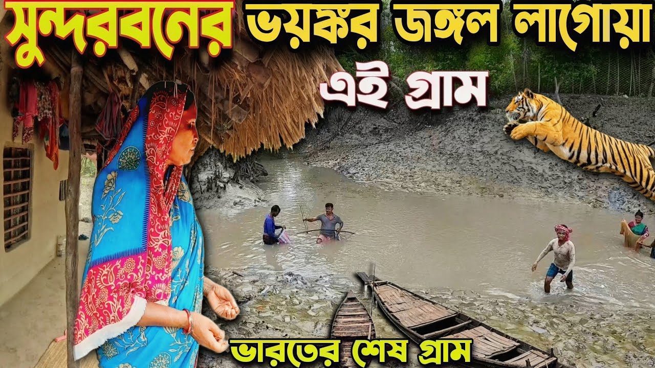 Sundarban Village Life/বাঘের জঙ্গলের কোলে ভারতবর্ষের শেষ গ্রাম সামশের নগর/Rural Village Life/Fishing
