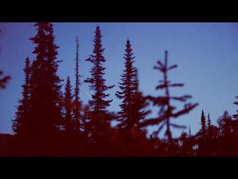 Моя Жизнь в