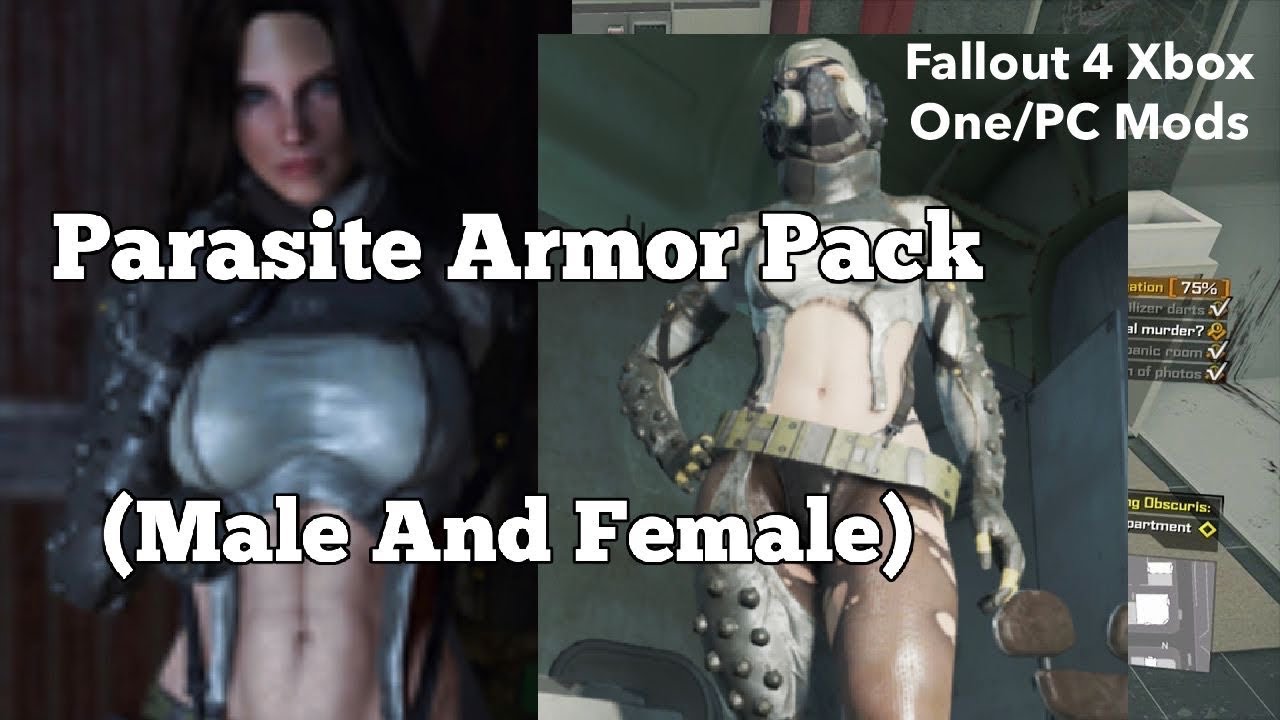 fallout 4 male mods