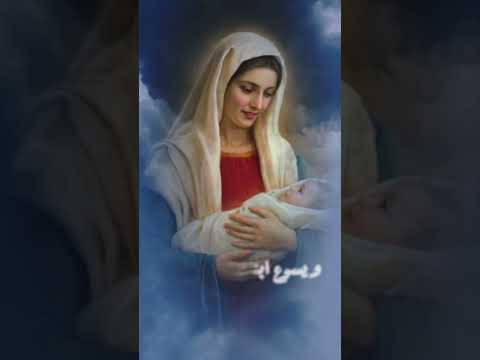 عال هو قدرك 