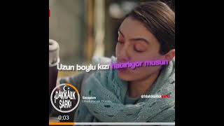 En Iyi Laf Sokmalar - 1 Dakikalık Şarkılar