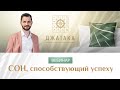 Вебинар. Сон способствующий успеху | Академия Джатака