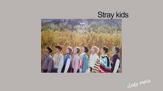 Stray kids - Levanter