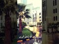 صل عليك الله يا خير البرى 