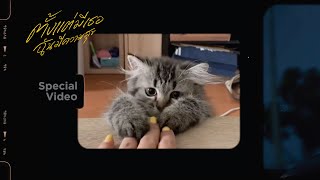 Violette Wautier - ตั้งแต่มีเธอฉันมีความสุข (This Time) | Special Video