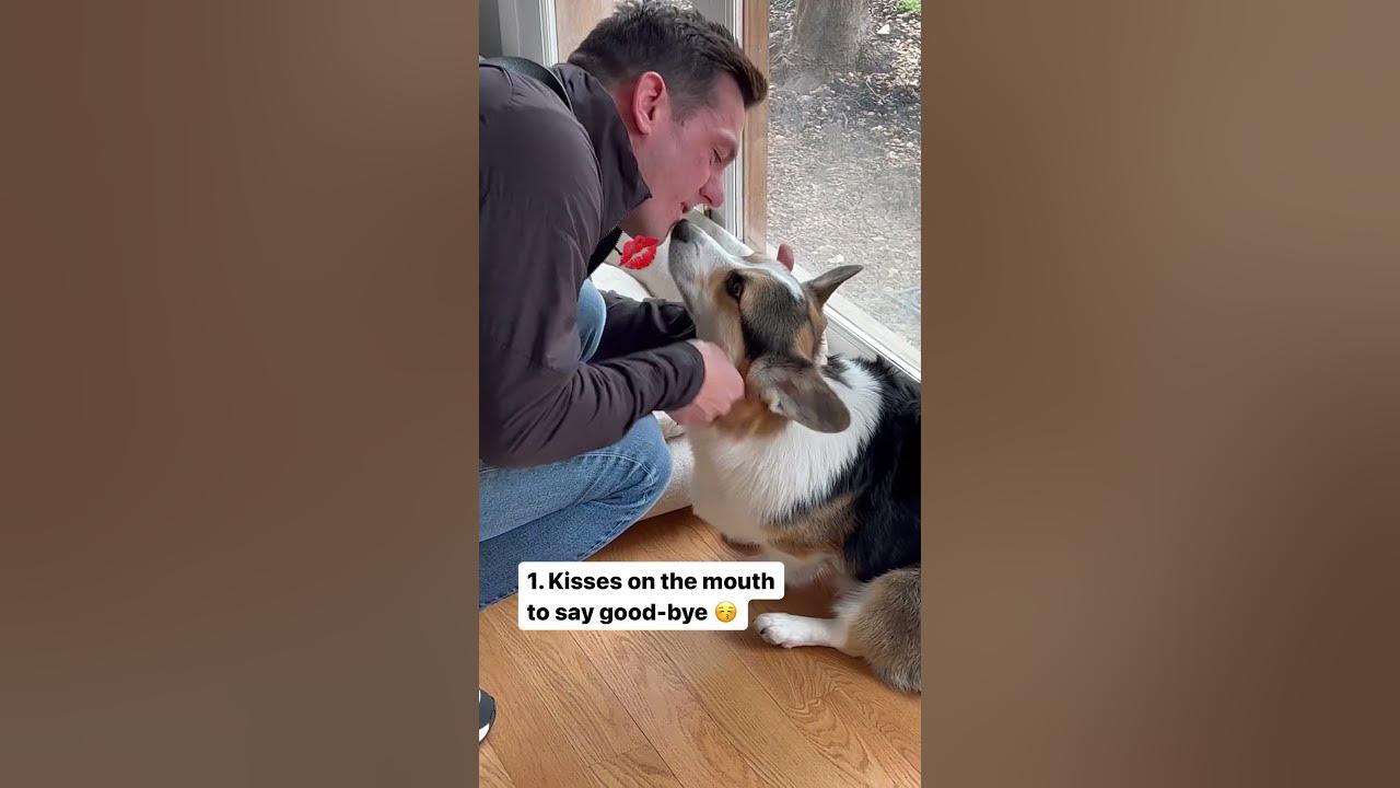 Ways We Treat Our Like Human Children YouTube