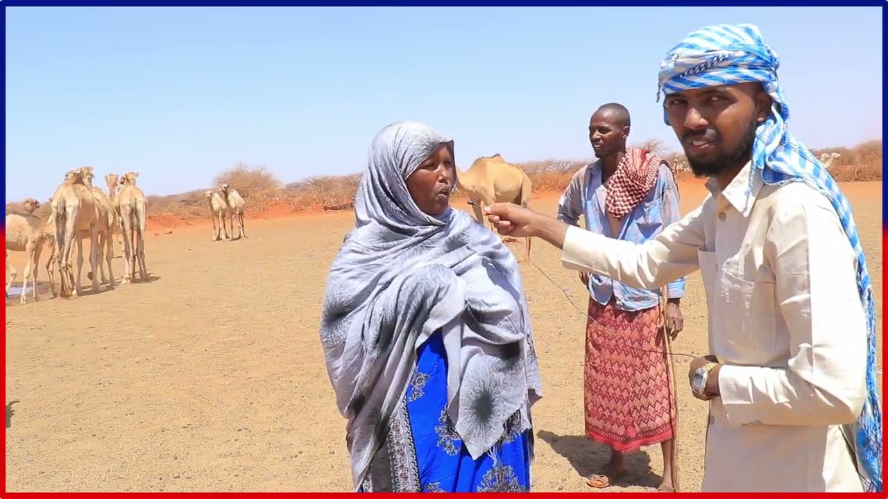 #Warbixin Maxay tahay caqabada ka taagan Riiga degmada Darroor!?