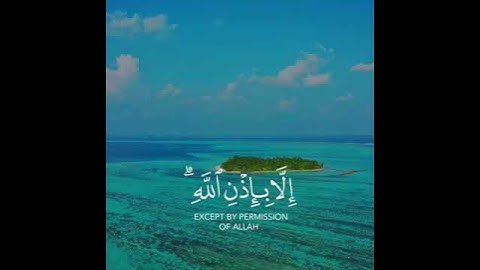 تلاوه خاشعه | بصوت القارئ ماهر المعيقلي | حالات واتس اب دينيه♥♥.