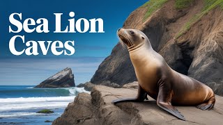 Sea Lion Caves - The Oregon Coast's Best Kept Secret
