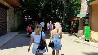ПОДЬЕМ НА МАШИНЕ НА ГОРУ АЙ ПЕТРИ
