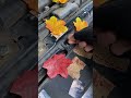 Tu coche está lleno de "tesoros". Sácalos y lávalos, ¡el efecto es inmediato