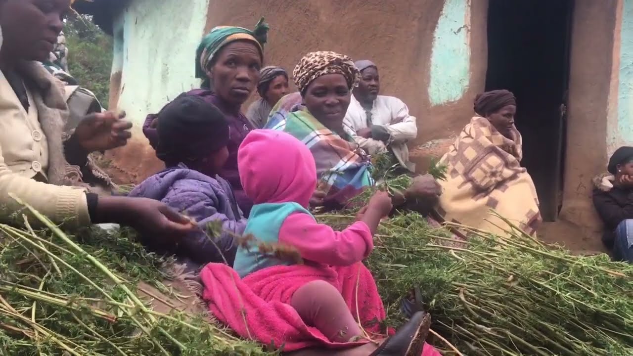 Umzimvubu Farmers Support Network directors engage South African Parliament around Cannabis laws