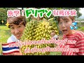 【subtitle】〈vlog#238〉たっちゃんドリアンマスターへの道!第一弾💓農家さんを訪ね🧑🌾憧れのドリアンキャッチや収穫体験にたっちゃんの目がキラキラです🤩