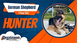 1 Year Old German Shepherd | Best Shepherd Training | Off Leash K9 | Board &amp; Train | Oklahoma