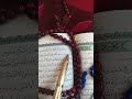 هذا خلق الله فأروني ماذا خلق الذين من دونه قران كريم اسلام صبحي ارح سمعك وقلبك بالقرآن المصحف 